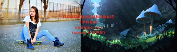 Альфа ПВП Алексеевка